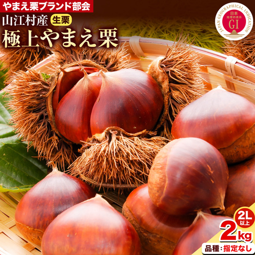 GI認証登録 山江村の やまえ栗 生栗 2kg 品種指定なし 筑波 美玖里 など旬の品種 やまえ栗ブランド部会 有限会社やまえ堂[9月上旬-10月下旬頃出荷]熊本県 球磨郡 山江村 栗 くり フルーツ 熊本県産 果物 早期 予約