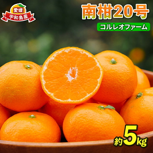 みかん 南柑20号 温州みかん 5kg コルレオファーム B010-145008