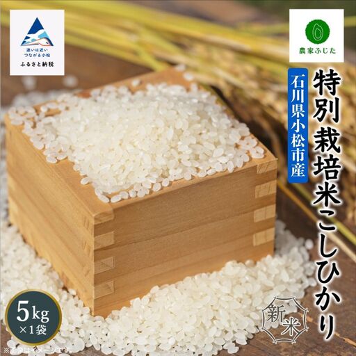 こしひかり 精米 5kg  特別栽培米 令和8年産 こしひかり コシヒカリ 農家ふじた