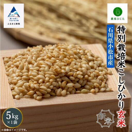 こしひかり 玄米 5kg 特別栽培米 令和8年産 こしひかり コシヒカリ 農家ふじた