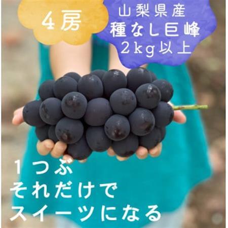 巨峰ぶどう(種なし) 2kg 以上 産地直送 山梨県山梨市牧丘産【配送不可地域：離島・沖縄県】【1535988】