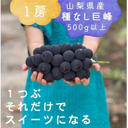 巨峰ぶどう(種なし) 1房500グラム以上 産地直送 山梨県山梨市牧丘産【配送不可地域：離島・沖縄県】【1535989】