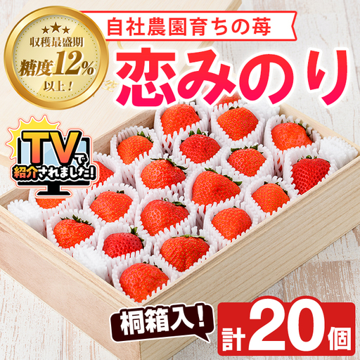 ＜先行予約受付中！2027年1月以降順次発送予定＞桐箱入！自社農園産いちご 恋みのり(計20個) 鹿児島 阿久根 自社農園 果物 フルーツ イチゴ いちご 苺 恋みのり 贈答用 ギフト 桐箱 デザート 期間限定【農園ガーデン空】akn026-11
