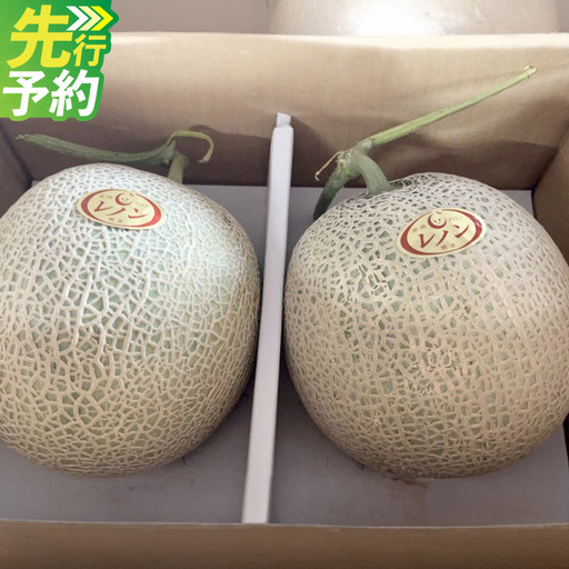 [ R8年熊本地震復興支援 ]レノン メロン 2玉入り(1玉1.5kg以上) 計3kg以上 赤肉メロン フルーツ 果物 赤肉[2027年4月下旬〜5月下旬迄順次発送予定]