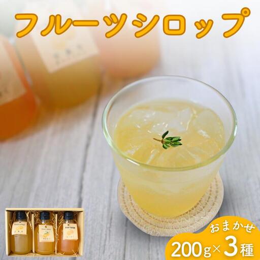 シロップ フルーツシロップ おまかせ3種セット（200g×3） 【ktr021】