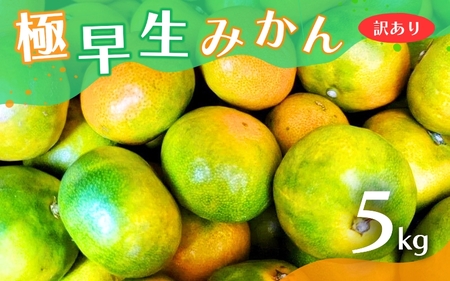 【2026年秋頃発送予約分】【訳あり】こだわりの極早生みかん 約5kg ※2026年10月上旬より順次発送予定（お届け日指定不可） 有機質肥料100% サイズ混合 有田産【nuk165B】