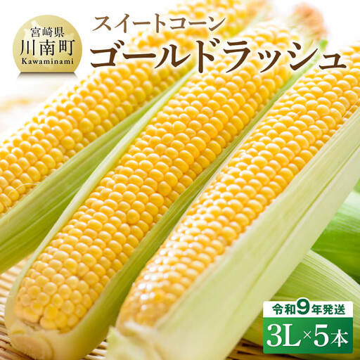 【令和9年産】スイートコーン「ゴールドラッシュ」3L×5本 【 新鮮 農家直送 トウモロコシ 産地直送 季節限定 期間限定 宮崎県産 九州産 】