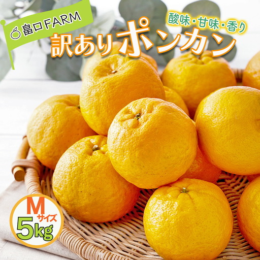 【先行予約】訳ありポンカン ＜5kg＞ Mサイズ