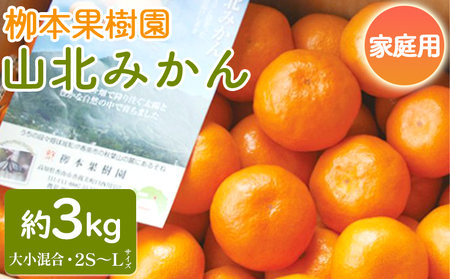 家庭用 柳本果樹園の山北みかん 3kg 大小混合(2S～L) - 果物 フルーツ 柑橘類 温州みかん ミカン 蜜柑 甘い おいしい 訳あり キズ 大小混合 期間限定 季節限定 数量限定 高知県 香南市 yg-0034