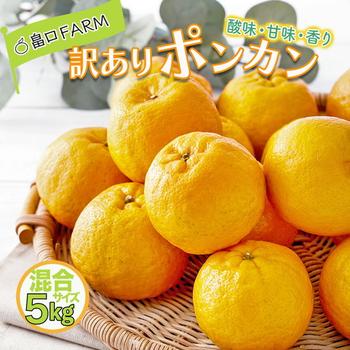 【先行予約】訳ありポンカン ＜5kg＞ サイズ混合