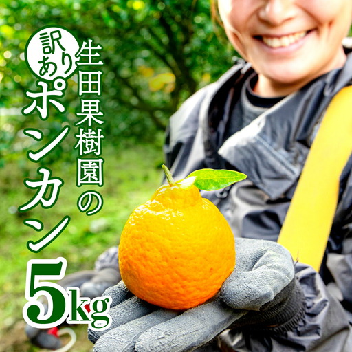 [先行予約]生田の訳ありポンカン[5kg]