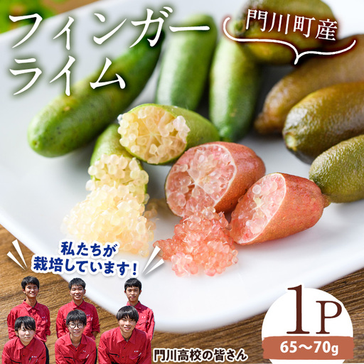 [先行予約受付中!2026年10月から順次発送予定][数量限定・期間限定]宮崎県門川町産フィンガーライム(70g) 柑橘 門高 [AU-3][宮崎県立門川高等学校]