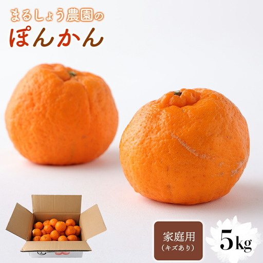 [先行予約]家庭用(キズあり)ぽんかん 5・ MS1 [MS-01] [まるしょう農園]