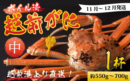 [先行予約]越前港より直送! 越前がに 中 (約550g〜700g) 1杯※発送前に在宅確認の電話連絡をいたします![11月〜12月発送] 海鮮 ボイル