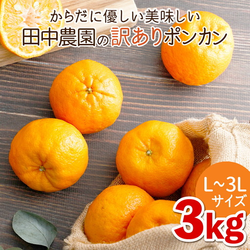 訳ありポンカン 3kg（L~3Lサイズ） 【田中農園】