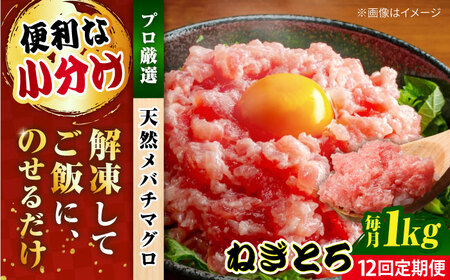 【全12回定期便】まぐろ ねぎとろ 約1kg（約250g×4パック） 鮪 マグロ 魚 ネギトロ 横須賀【横須賀商工会議所 おもてなしギフト事務局（本まぐろ直売所 横須賀本店）】 [AKAK037]