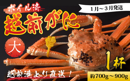 [先行予約]越前港より直送! 越前がに 大 (約700g〜900g) 1杯 ※発送前に在宅確認の電話連絡をいたします![1月〜3月発送予定] 海鮮 ボイル