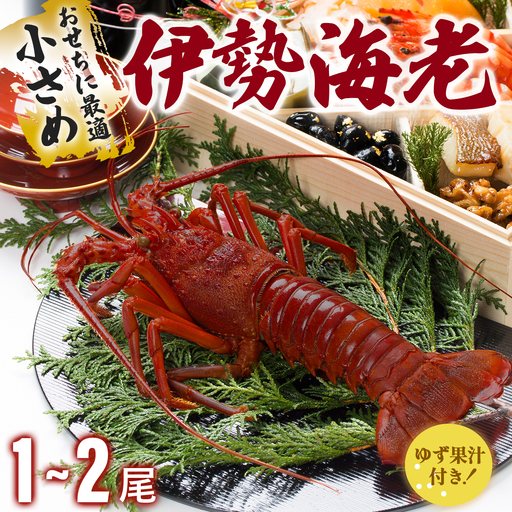 伊勢海老おせちサイズ 1~2尾