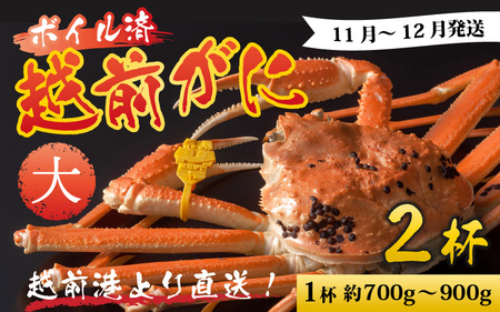[先行予約]越前港より直送! 越前がに 大 (約700g〜900g) 2杯※発送前に在宅確認の電話連絡をいたします![11月〜12月発送] 海鮮 ボイル