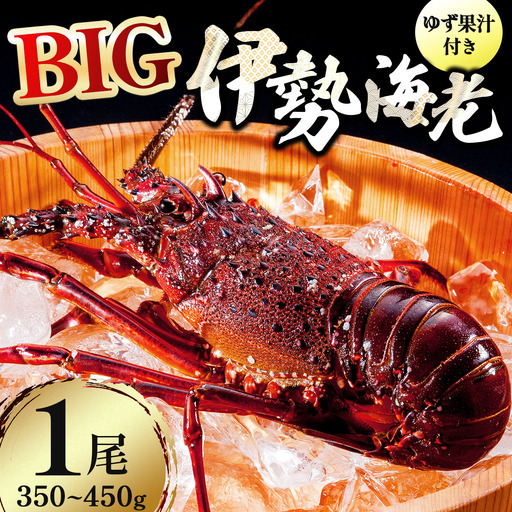 BIG伊勢海老 1尾(350g～450g)