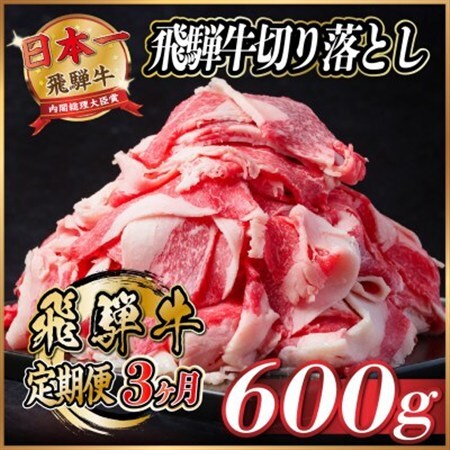 【毎月定期便】飛騨牛　切り落とし　約600g【冷蔵便】全3回_肉  牛肉   定期便 定期便  _【配送不可地域：離島】【4055014】