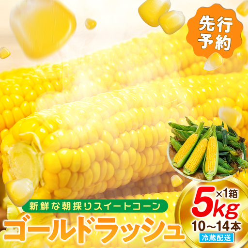 [2027年先行予約 6月下旬から出荷] スイートコーン 約5kg 10-14本 冷蔵 国産 先行予約 数量限定 コーン 野菜 新鮮 焼き 蒸し 産地 直送 甘い 甘口 子ども 子供 小分け 種子 肥料 さわやか すっきり 糖度 黄色 人気 おすすめ 愛知県 南知多町