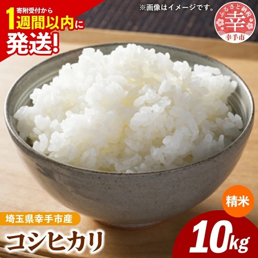 令和7年産 幸手市産 コシヒカリ 白米10kg 色彩選別済 White Rice- お米 米 こしひかり 精米 10kg 埼玉県 幸手市