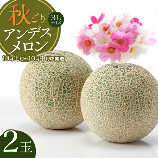 【令和8年産】 秋どりアンデスメロン 2玉 (3Lサイズ) 山形県鶴岡市産 庄内砂丘メロン　小林ファーム　| メロン めろん 秋採り 秋収穫 秋メロン フルーツ 果物 くだもの デザート 産地直送 山形 鶴岡 庄内 庄内産 東北 人気 おすすめ 美味しい 贈答 国産 お取り寄せ 返礼品