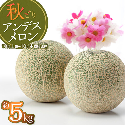 【令和8年産】 秋どりアンデスメロン 約5kg (3～4玉入) 山形県鶴岡市産 庄内砂丘メロン　小林ファーム　| メロン めろん 秋採り 秋収穫 秋メロン フルーツ 果物 くだもの デザート 産地直送 山形 鶴岡 庄内 庄内産 東北 人気 おすすめ 美味しい 贈答 国産 お取り寄せ 返礼品