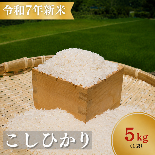 【令和8年新米】熊野市育生町 お米 5kg 【ligh0012A】