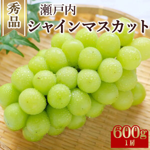 シャインマスカット1房(約600g)
