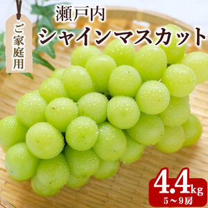 シャインマスカット5〜9房房(約4.4kg)家庭用