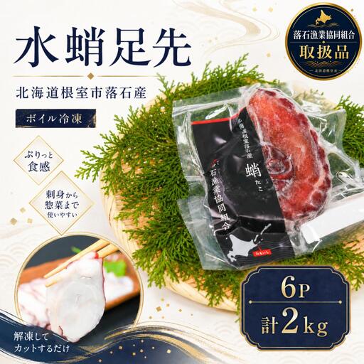 【北海道根室産】ボイル水たこ足先6P(計2kg) C-20004