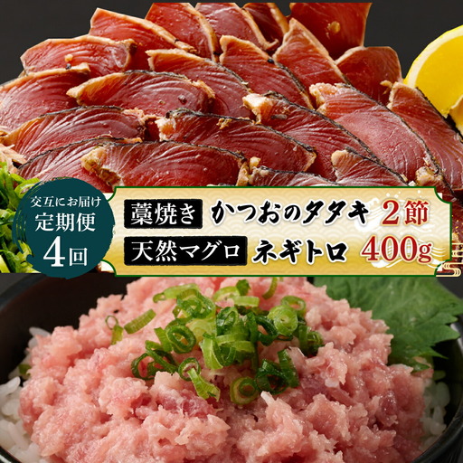 [交互定期便 / 4ヶ月連続] 土佐流藁焼きかつおのたたき2節と高豊丸ネギトロ400g 魚介類 海産物 カツオ 鰹 わら焼き 高知 海鮮 冷凍 家庭用 訳あり 不揃い 規格外 連続 4回 小分け 個包装 まぐろ マグロ 鮪 交互 tk054 頒布会