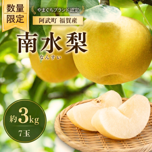 梨 福賀の南水梨 約3kg 7玉 山口県阿武町産 高糖度 シャキシャキ食感 数量限定 【2026年9月20日頃～順次発送】