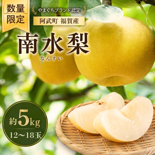 梨 福賀の南水梨 約5kg 12～18玉 山口県阿武町産 高糖度 シャキシャキ食感 数量限定 【2026年9月20日頃～順次発送】