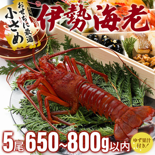 伊勢海老おせちサイズ 5尾