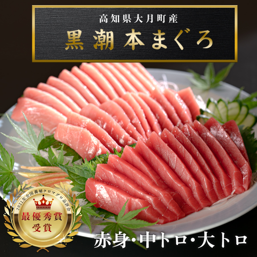 訳あり 不定貫 黒潮本まぐろ3種セット (PT0091_0367)