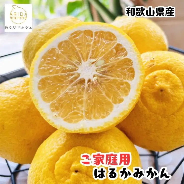 �ԗ�i�摜