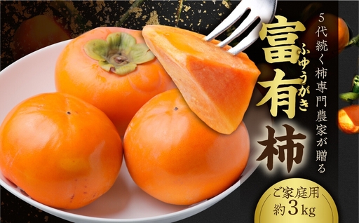 [先行予約][訳あり]西垣農園 富有柿 約3kg 柿 [mt491]