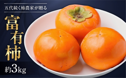 [先行予約/令和8年産][訳あり]サイズおまかせ 西垣農園 富有 柿 約3kg [mt490] 柿