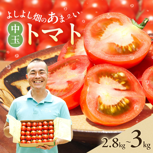 トマト よしよし畑 中玉トマト 新鮮 トマト【2.8kg～3kg】