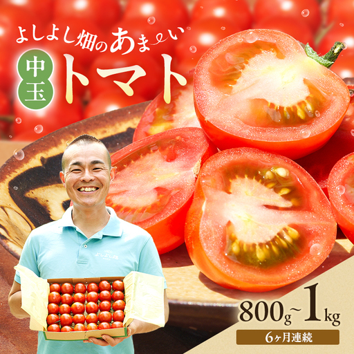 トマト よしよし畑 中玉トマト トマト【800g～1kg】【定期便6ヶ月】