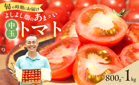 トマト よしよし畑 中玉トマト 新鮮 トマト[800g〜1kg][冷蔵]