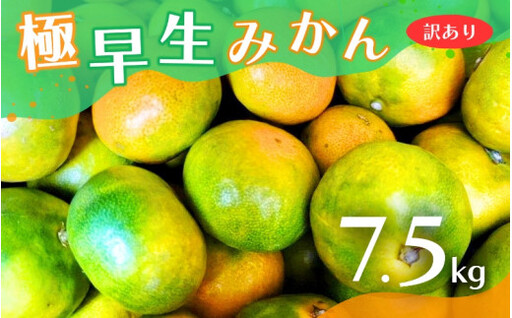 【2026年秋頃発送予約分】【訳あり】こだわりの極早生みかん 約7.5kg ※2026年10月～11月に順次発送予定（お届け日指定不可） 有機質肥料100% サイズ混合  有田産【nuk166B】 