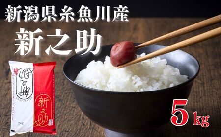 【令和8年産 新米】新之助 5kg 早川の清流が育んだ美味しいお米 新潟県糸魚川産 2026年 磯貝農場【しんのすけ 米 お米 こめ ご飯 ライス ふるさと納税米 食品 人気 おすすめ お弁当 おにぎり ギフト 新潟県の新しいブランド米 農家直送 5キロ 精米】