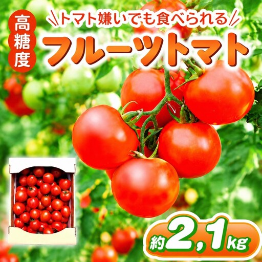 フルーツトマト 約2.1㎏ | 鈴木農園 トマト とまと 中玉 大容量 