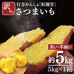 [訳あり]行方かんしょ「紅優甘」さつまいも約5kg(洗い・不揃い)|さつまいも サツマイモ さつま芋 お芋 紅優甘 行方かんしょ 訳あり わけあり 訳アリ 茨城県 行方市(AE-94)