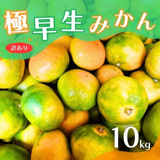 みかん 約10kg 極早生みかん【nuk167B】