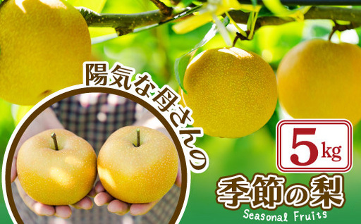【先行予約】数量限定・期間限定【陽気な母さんの店】Ｒ8年産「旬の梨」又は「季節の梨」（5kg）80P3405【陽気な母さんの店 】